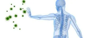 Illustration reactor - Image 2