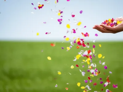 Illustration casts - Image 1