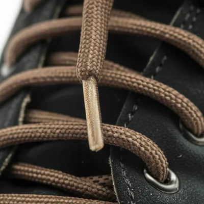 Illustration aglets - Image 1