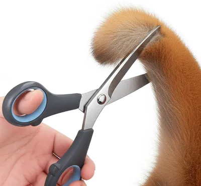 Illustration crop - Image 1