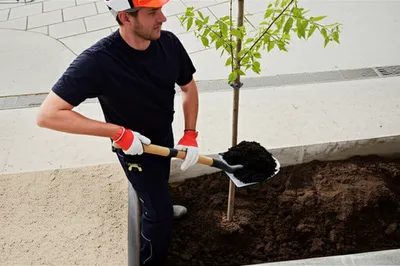 Illustration backfill - Image 1