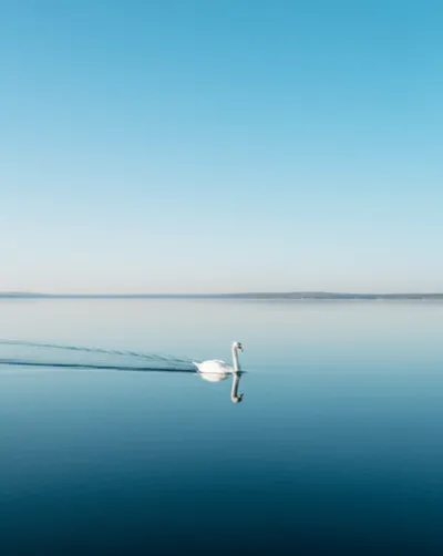 Illustration smoothest - Image 1