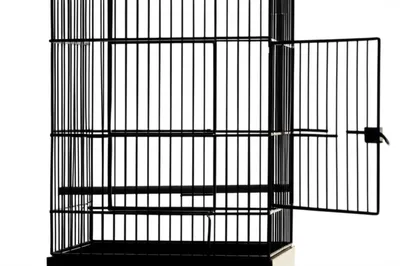 Illustration free - Image 1