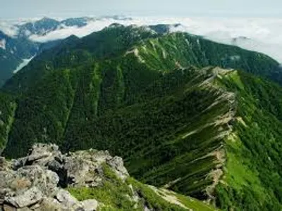 Illustration ridge - Image 4