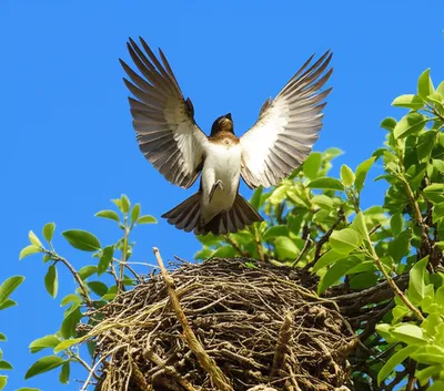 Illustration launching - Image 1