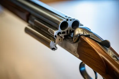 Illustration bascules - Image 1