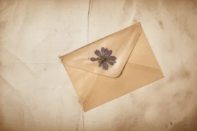 Illustration packet - Image 1