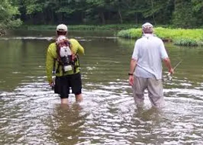 Illustration wade - Image 2