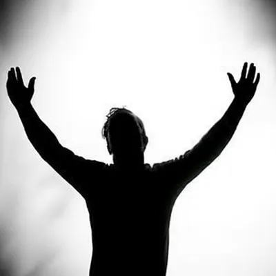 Illustration dazzle - Image 1