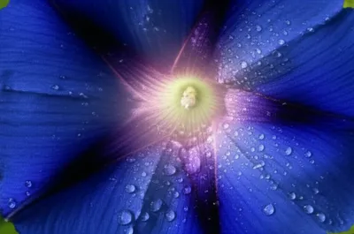 Illustration ocular - Image 1