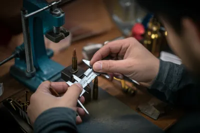 Illustration wildcat - Image 1