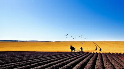 Illustration plows - Image 1