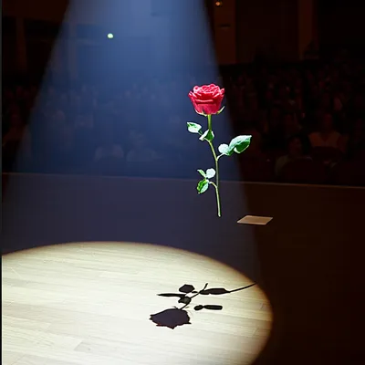 Illustration premier - Image 1