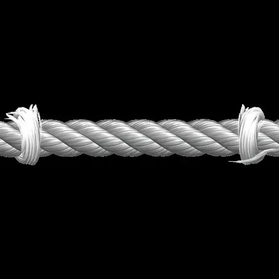 Illustration cord - Image 1