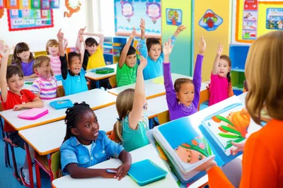 Illustration primary - Image 1