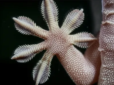 Illustration stick - Image 1