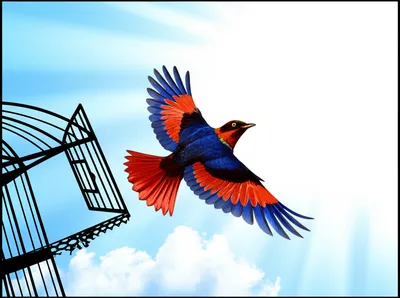 Illustration unloosed