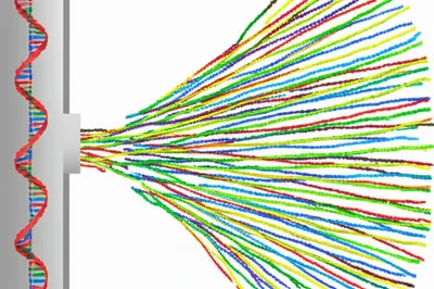 Illustration amplification - Image 1