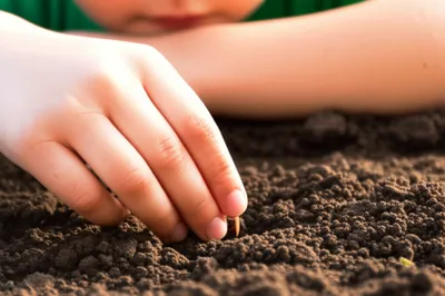 Illustration trust - Image 1