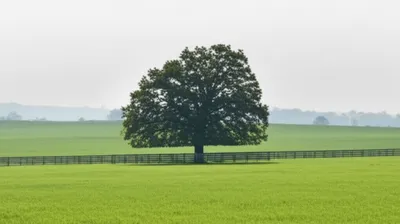 Illustration landed - Image 1