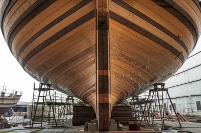 Illustration backs - Image 1