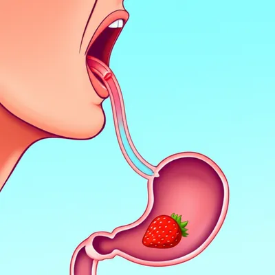 Illustration swallowing