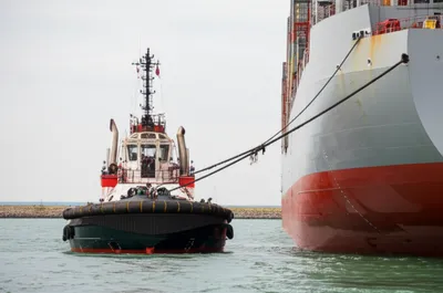 Illustration snub - Image 1