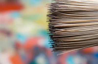 Illustration bristles - Image 1