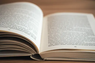 Illustration flyleaves - Image 1