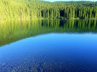 Illustration clearest - Image 1