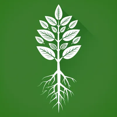 Illustration kind - Image 1