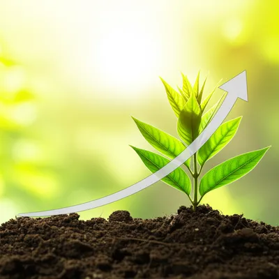 Illustration favorably