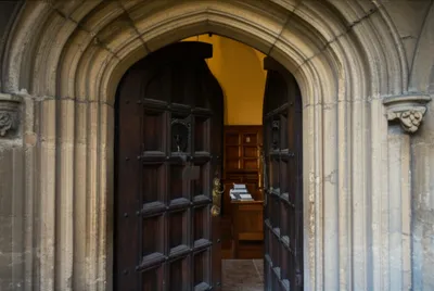 Illustration oak - Image 1