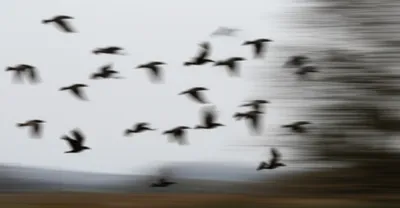 Illustration shifts - Image 1