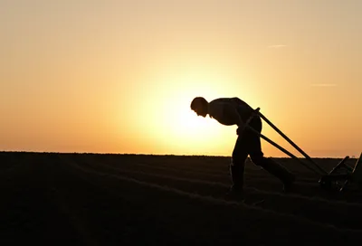 Illustration labored - Image 1