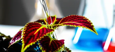 Illustration exhaust - Image 1