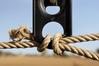 Illustration married - Image 1