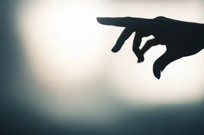 Illustration like - Image 1