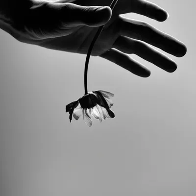 Illustration abusing - Image 1