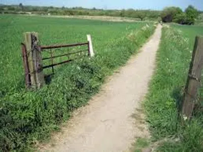 Illustration footpath - Image 2