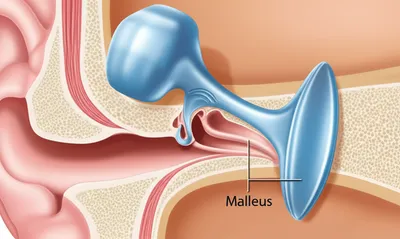 Illustration hammer - Image 1