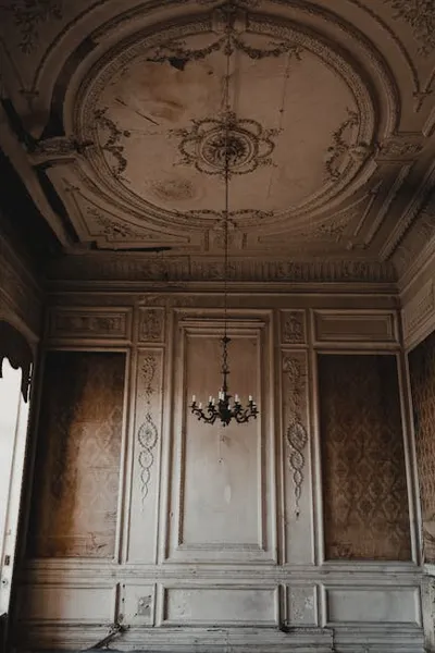 Illustration panelling - Image 2