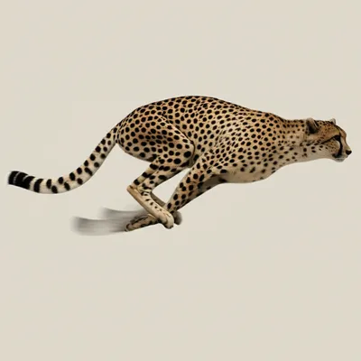 Illustration streaks - Image 1