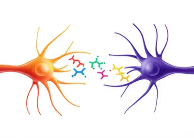 Hình ảnh minh họa monoamine - Ảnh 1