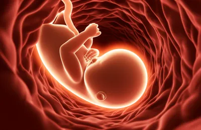 Illustration implanted - Image 1