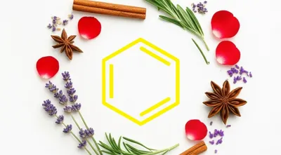 Illustration monocycles - Image 1