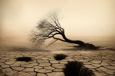 Illustration uprooted - Image 1