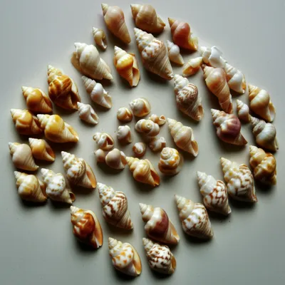 Illustration rhombuses - Image 1