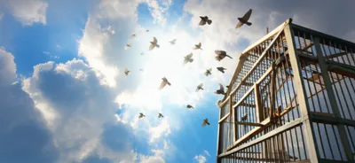 Illustration despatch - Image 1