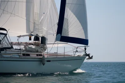 Illustration shortened - Image 1